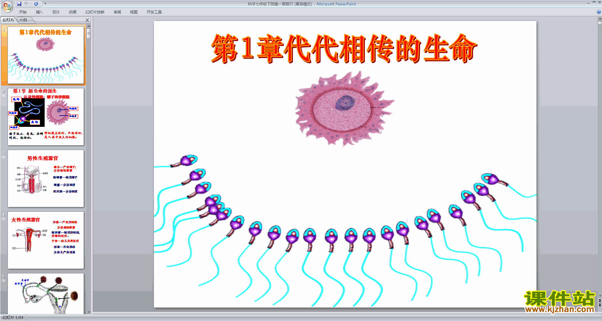 新浙教版七年级下册科学优质课1.1新生命的诞生ppt课件