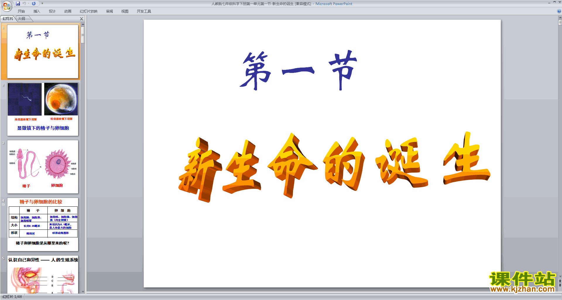 下载新浙教版七年级下册科学1.1新生命的诞生课件ppt