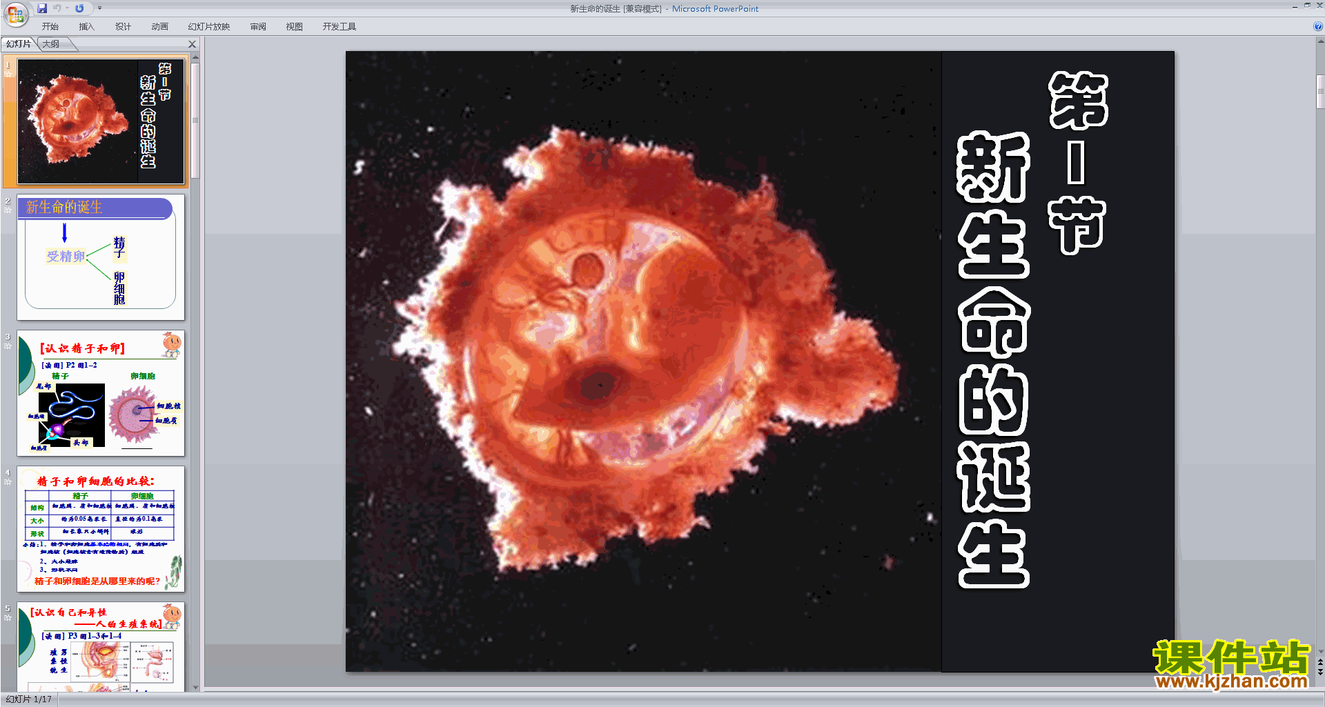 七年级下册科学新浙教版1.1新生命的诞生ppt课件下载