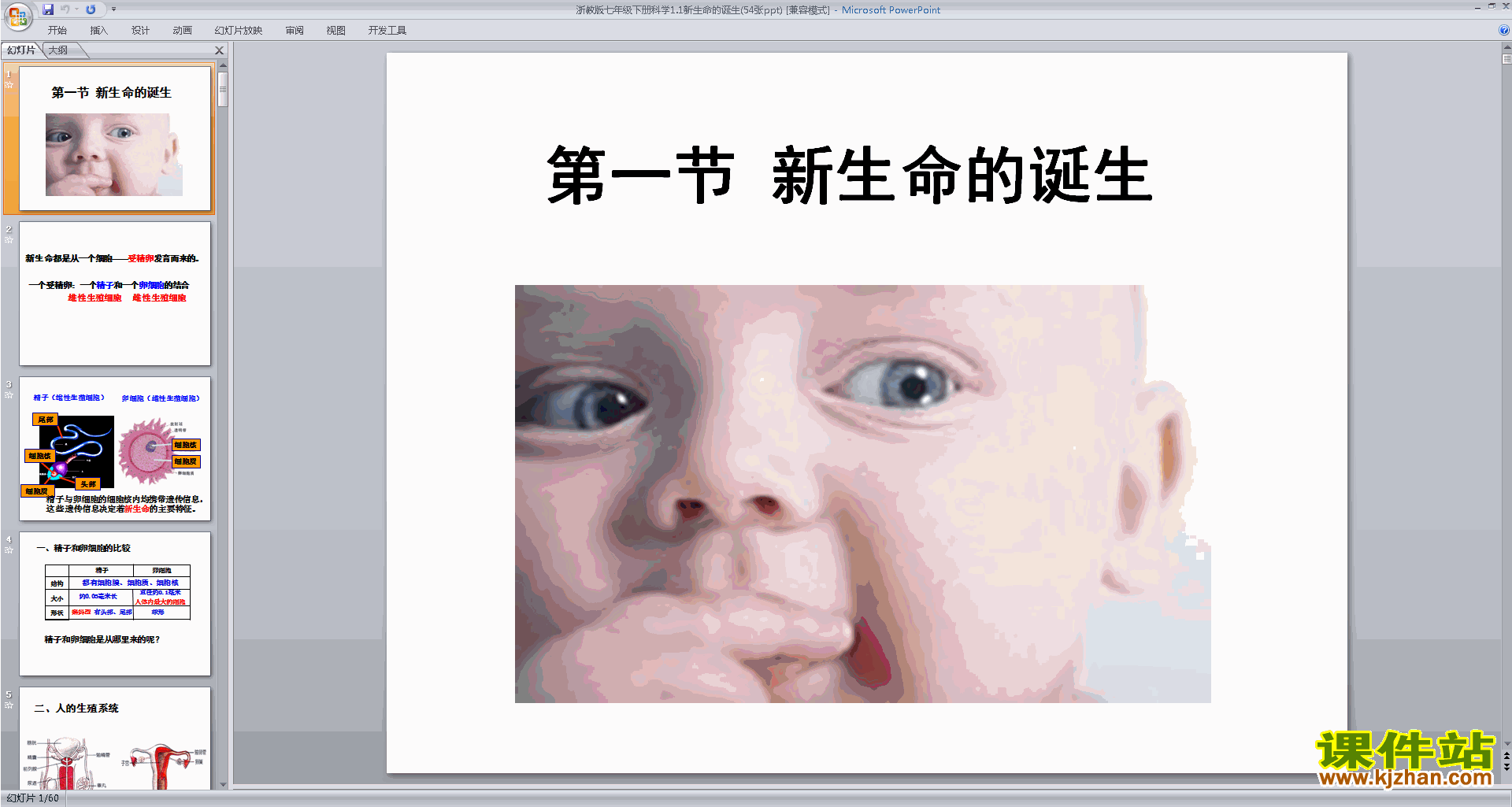 新浙教版七年级下册科学精品1.1新生命的诞生ppt课件
