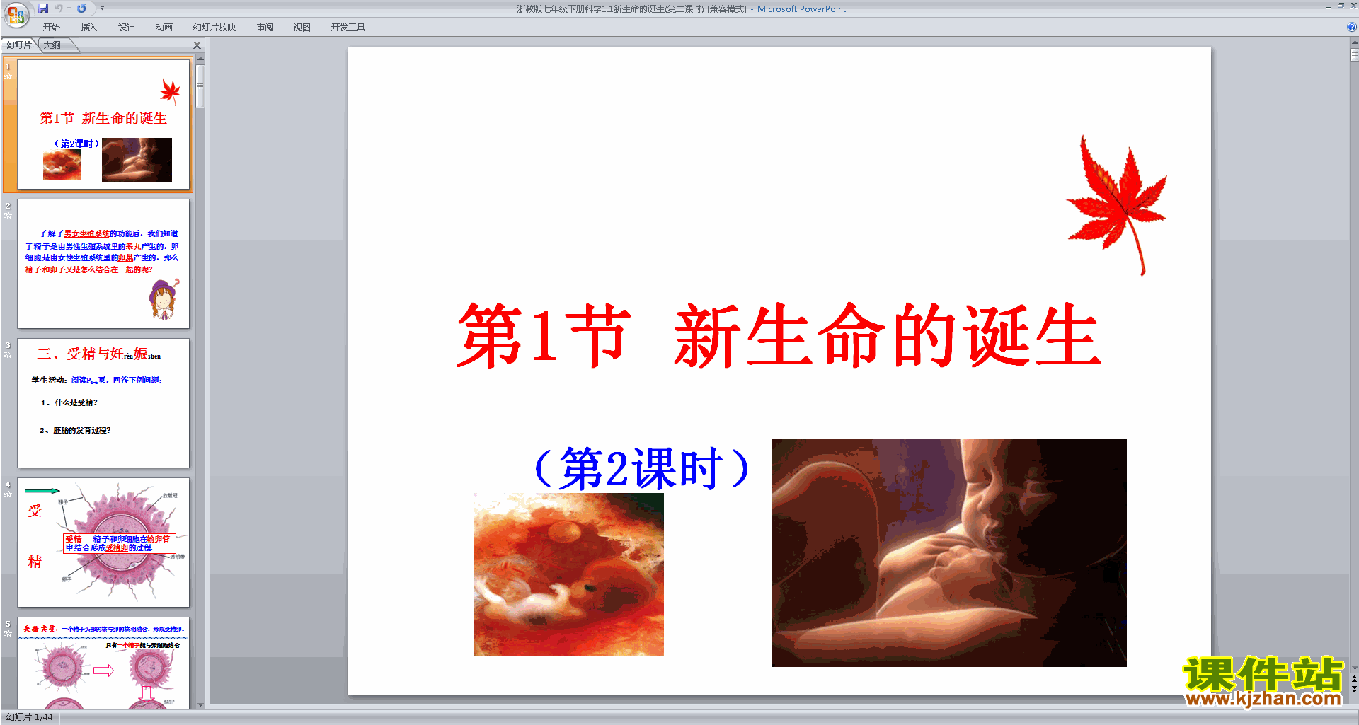 下载教研课1.1新生命的诞生ppt课件(新浙教版）
