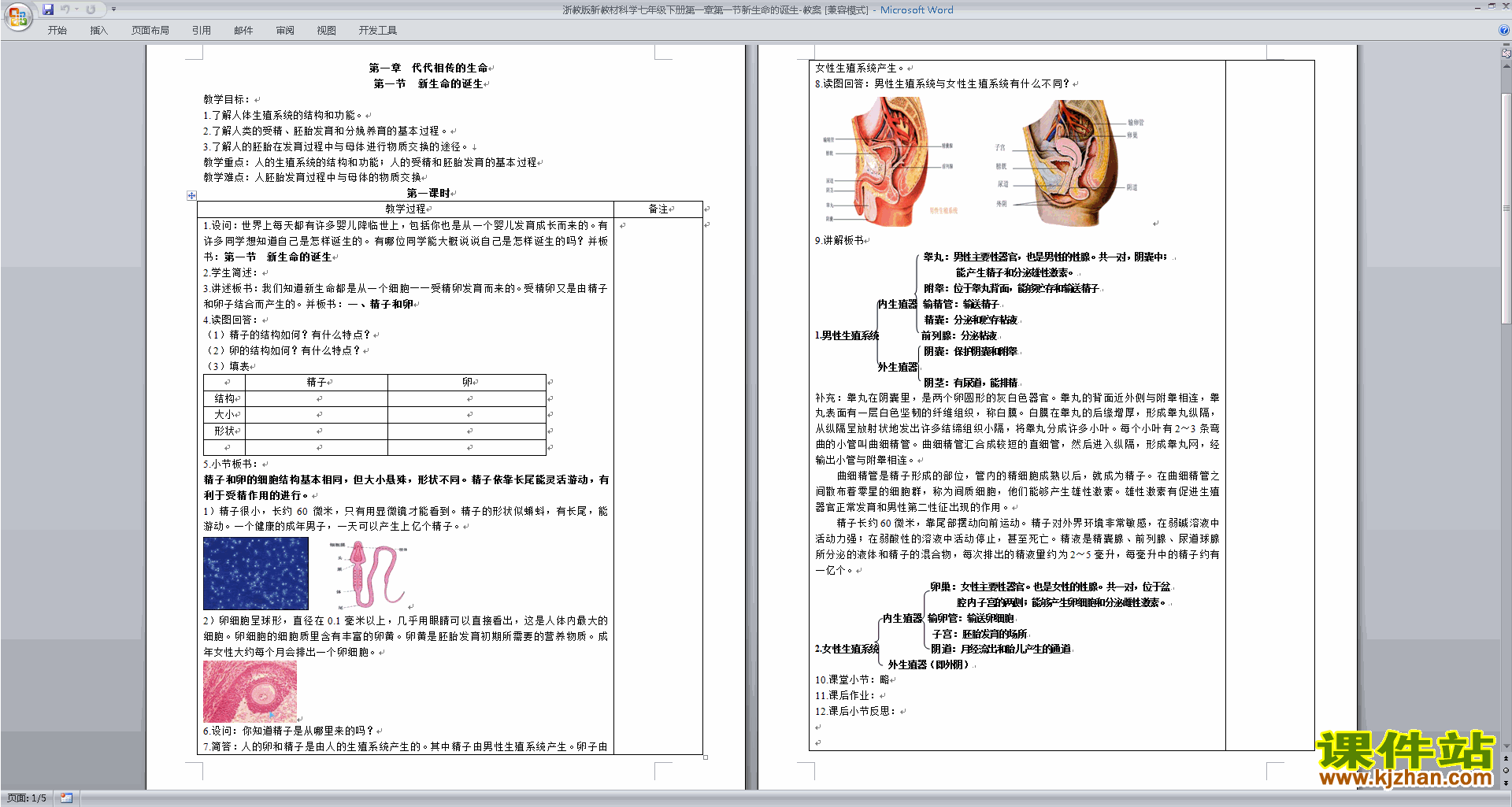 优质课1.1新生命的诞生教学设计教案下载