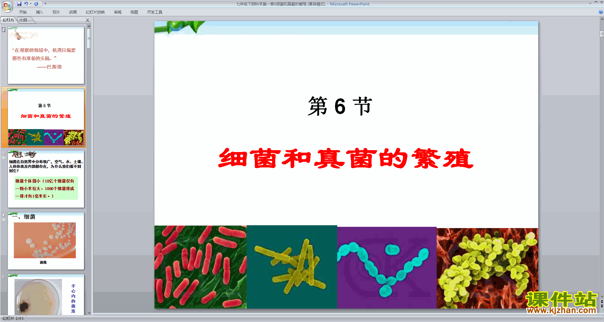 新浙教版七年级下册科学公开课1.6细菌和真菌的繁殖ppt课件