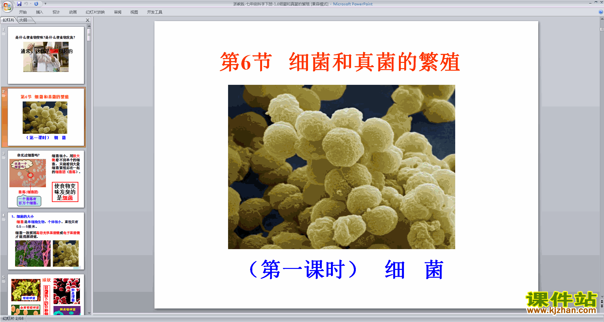 新浙教版七下科学1.6细菌和真菌的繁殖ppt课件