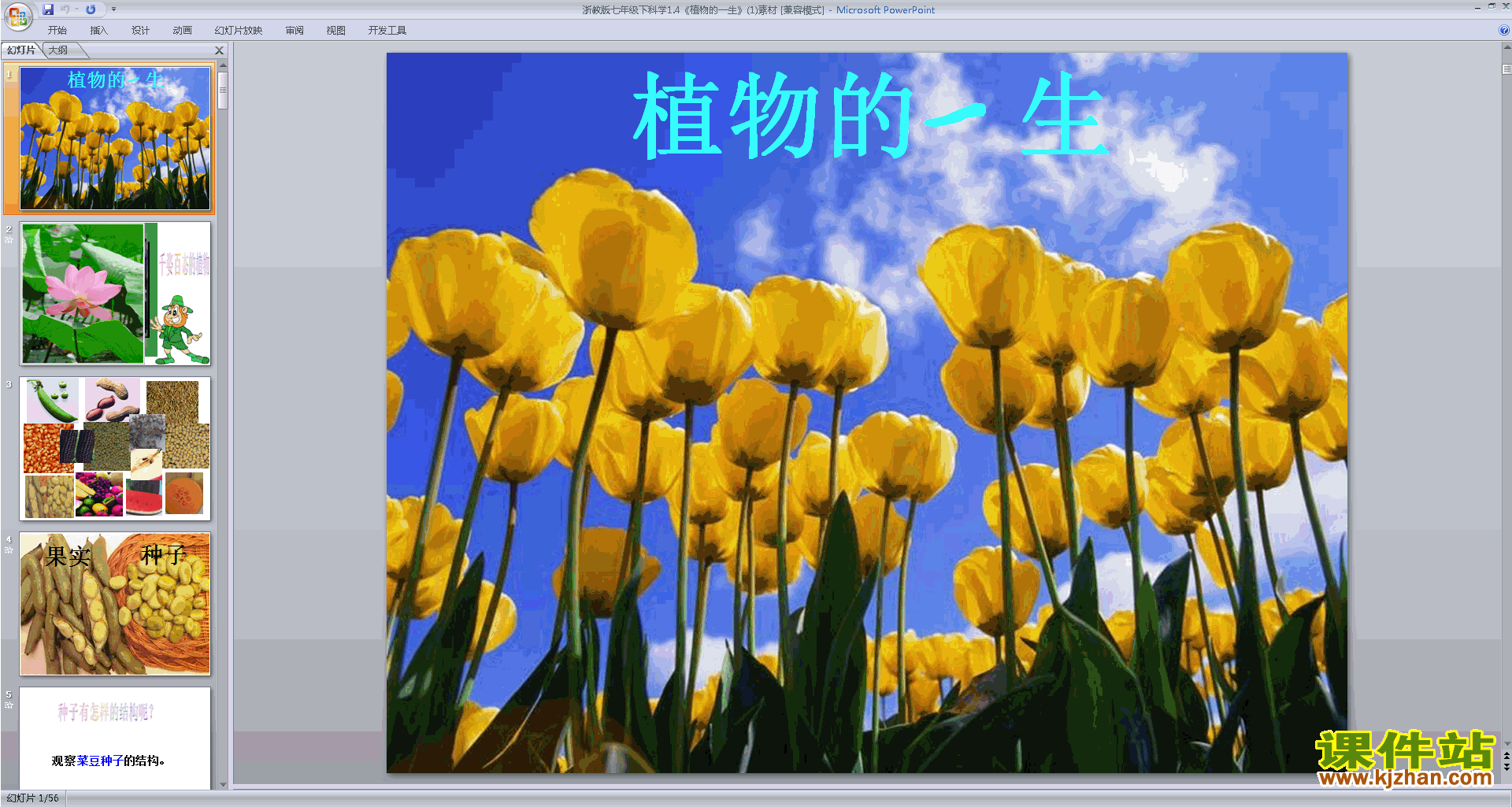 七年级下册科学新浙教版1.4植物的一生ppt课件下载