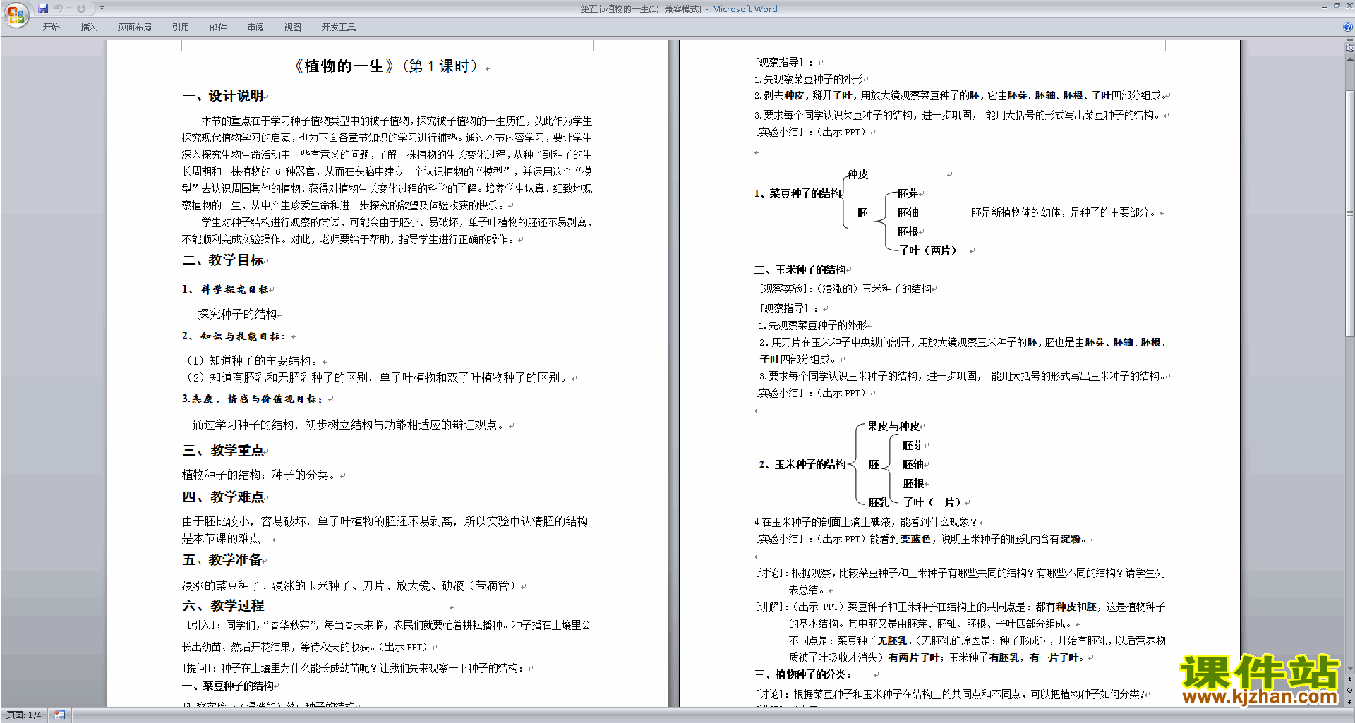 下载新浙教版七年级下册科学1.4植物的一生教案教学设计