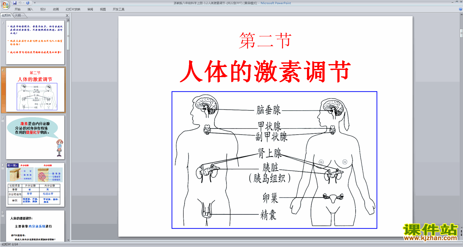 下载浙教版八年级上册科学3.2人体的激素调节ppt课件