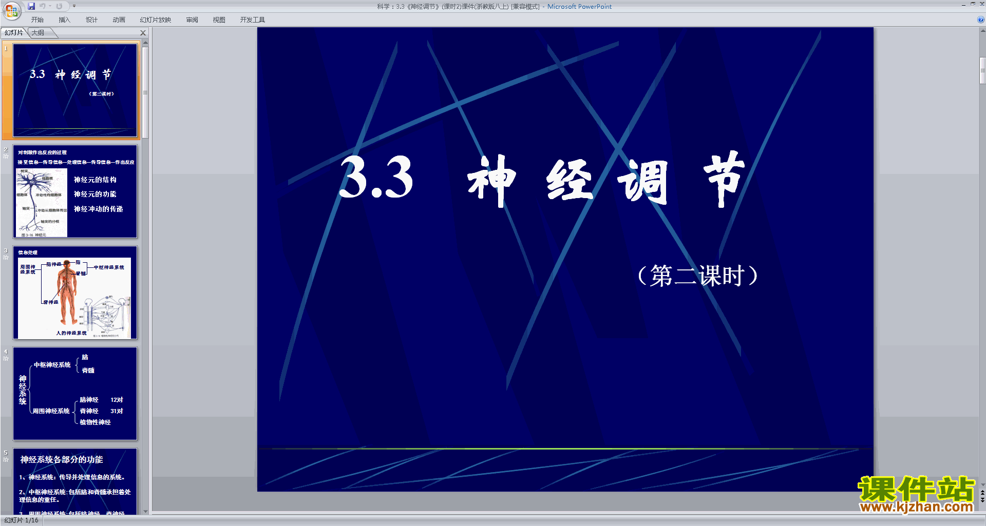 下载浙教版八年级上册科学3.3神经调节ppt课件