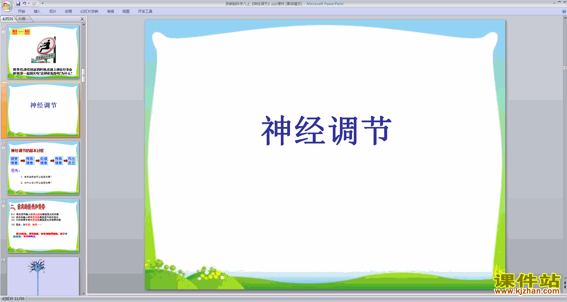 八年级上册科学浙教版3.3神经调节ppt课件下载