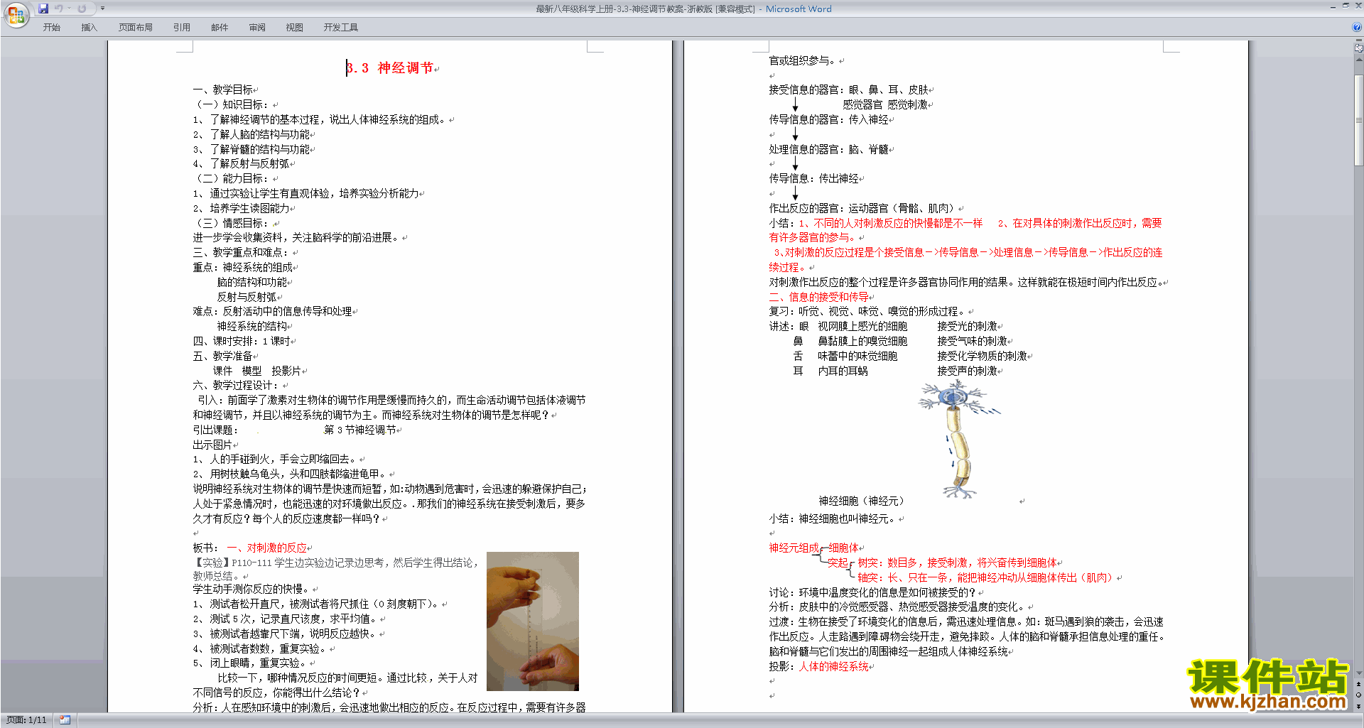 八年级上册浙教版科学3.3神经调节教学设计教案下载