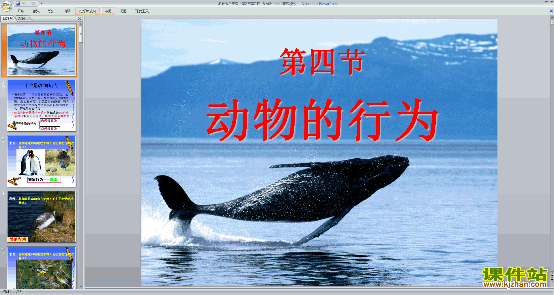 浙教版八年级上册科学3.4动物的行为ppt课件下载