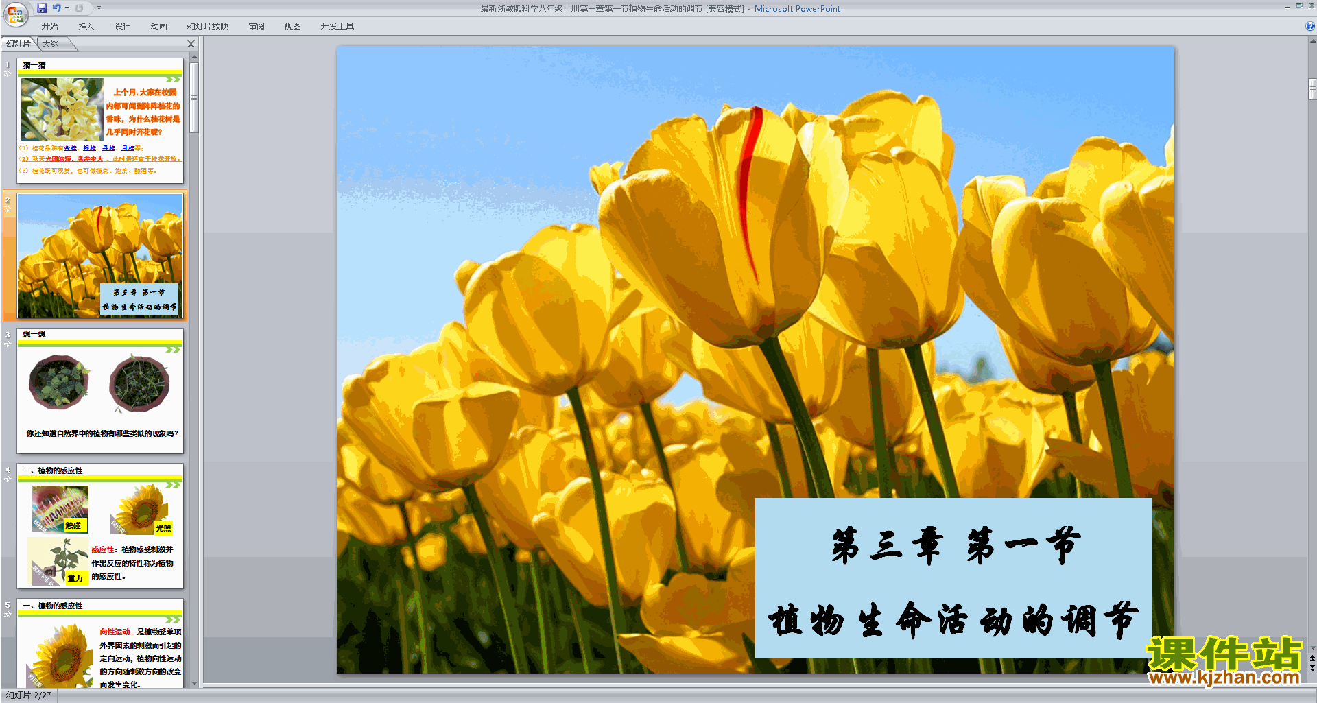 八年级上册科学浙教版3.1植物生命活动的调节ppt课件下载