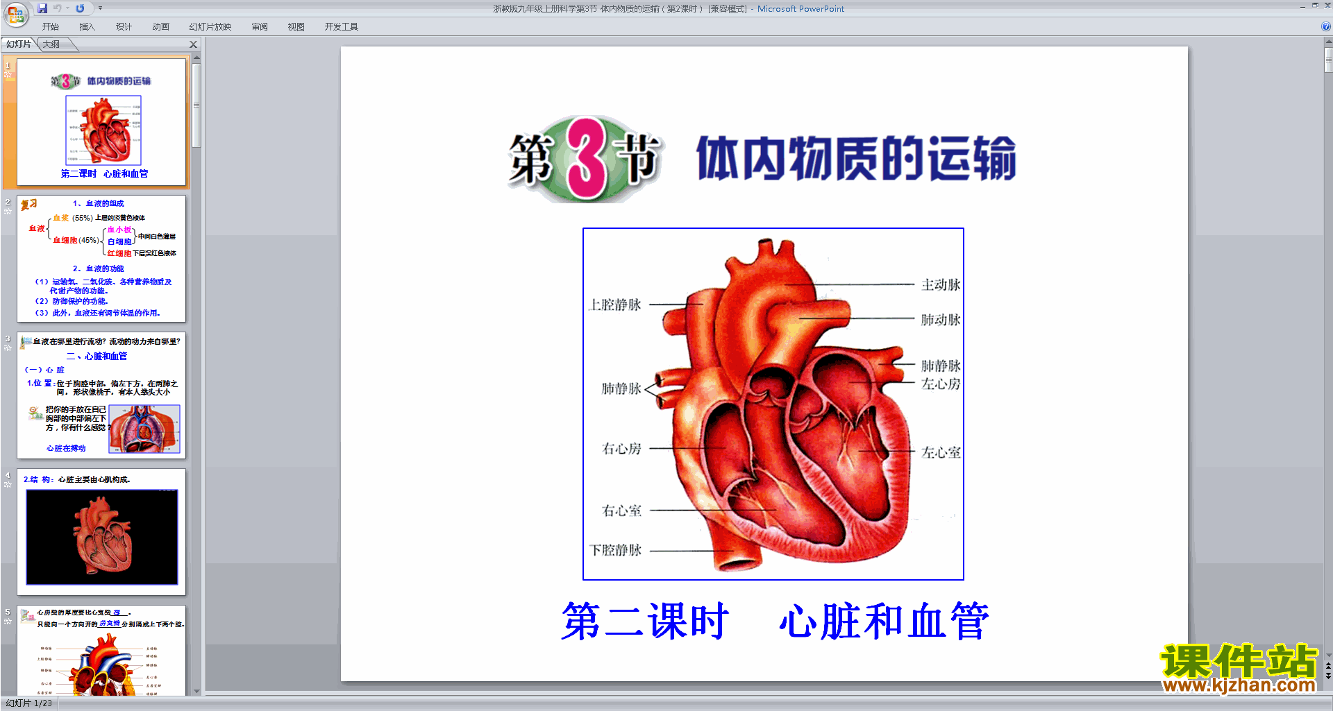 下载新浙教版九年级上册科学4.3体内物质的运输ppt课件