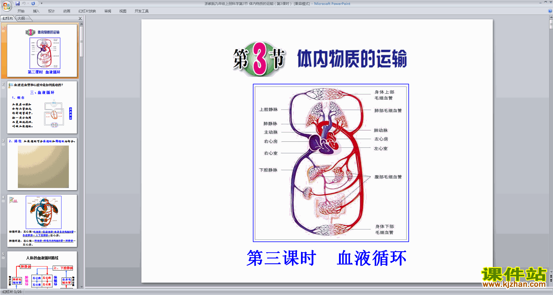 新浙教版九年级上册科学4.3体内物质的运输ppt课件下载