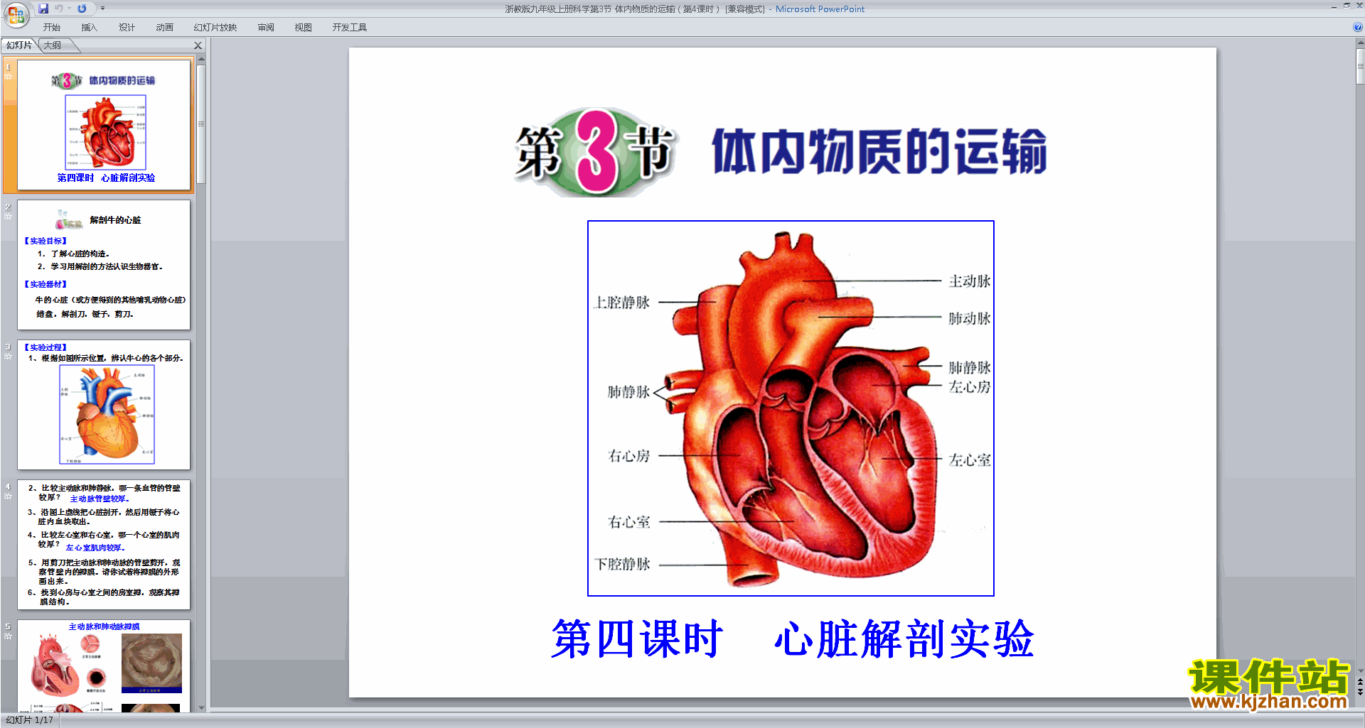 下载新浙教版九年级上册科学4.3体内物质的运输课件ppt