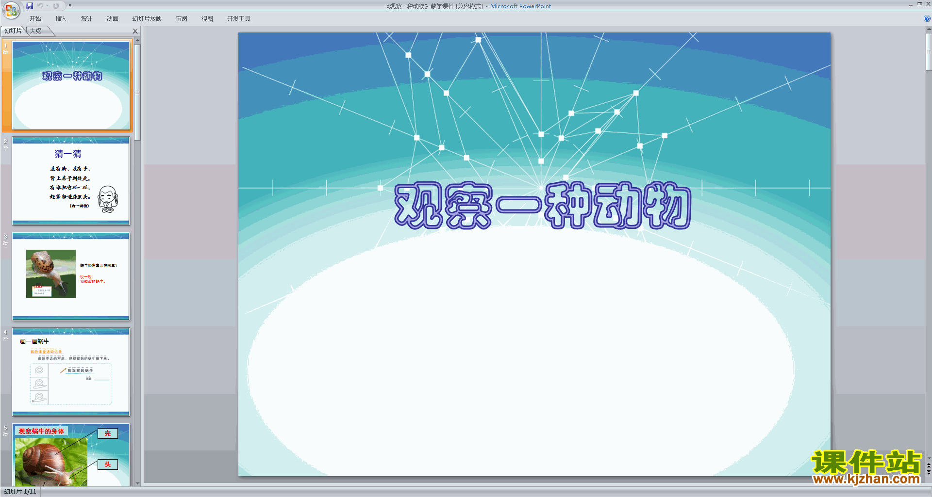 教科版一年级下册科学优质课2.3观察一种动物ppt课件