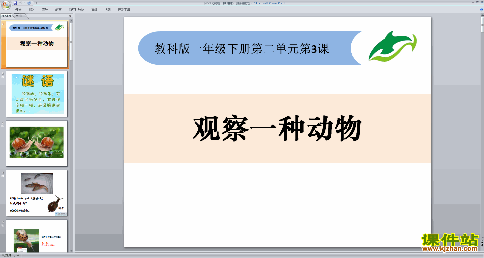 下载教科版一年级下册科学2.3观察一种动物课件ppt