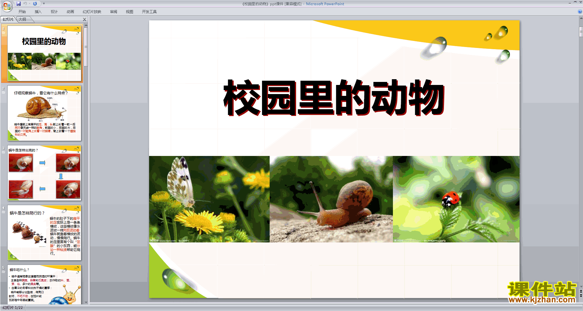 下载教科版一年级下册科学2.2校园里的动物ppt课件