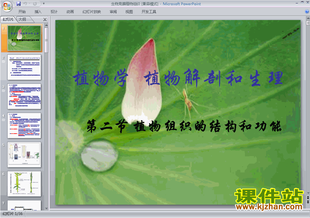 下载高中生物竞赛辅导公开课生物竞赛植物组织ppt课件11