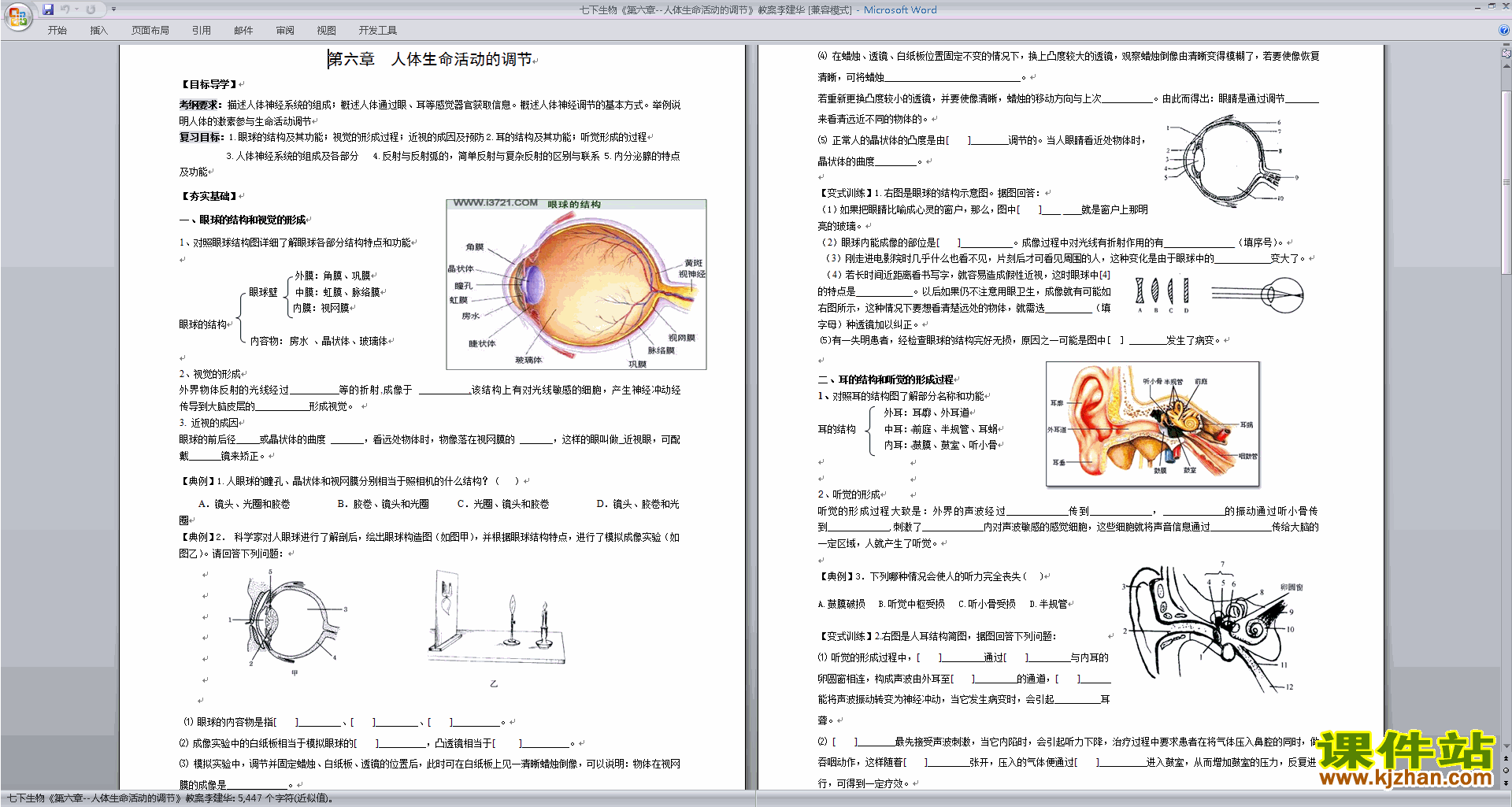 人教版生物第六章:人体生命活动的调节教学设计教案下载