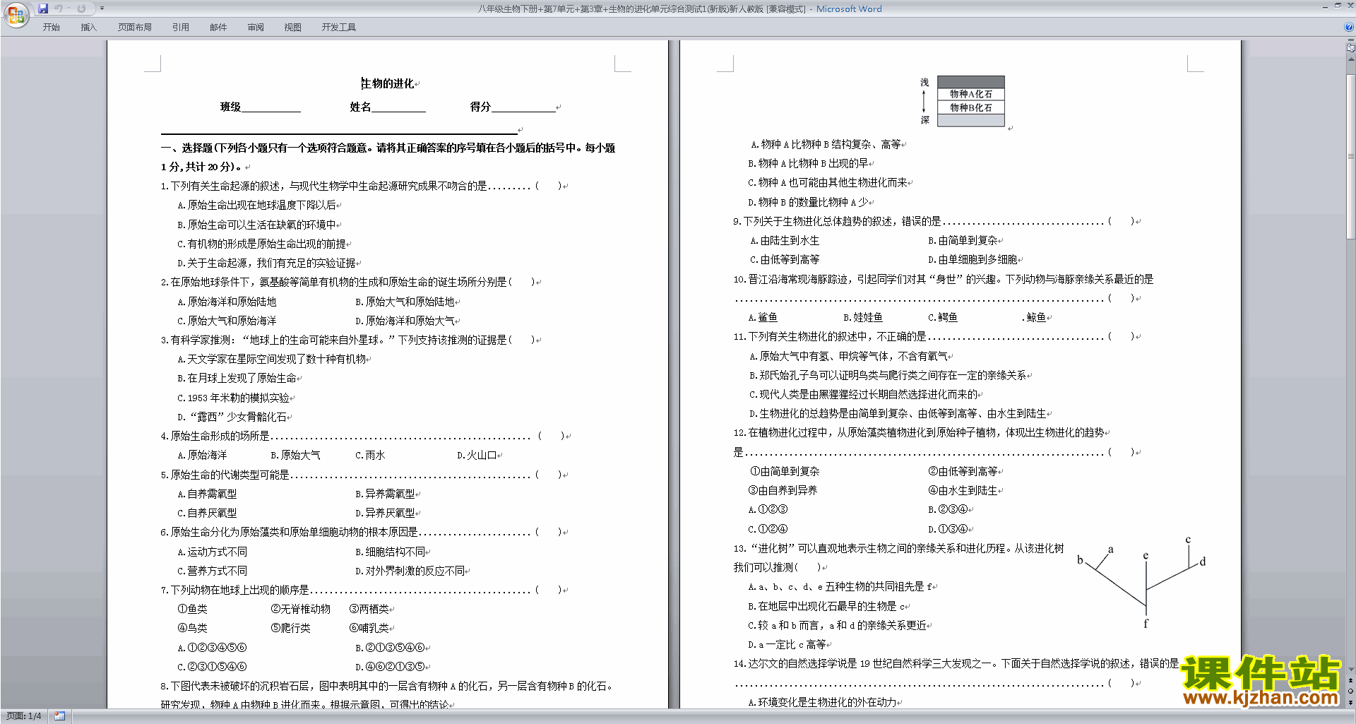 下载八年级下册生物第三章:生物的进化练习试卷5