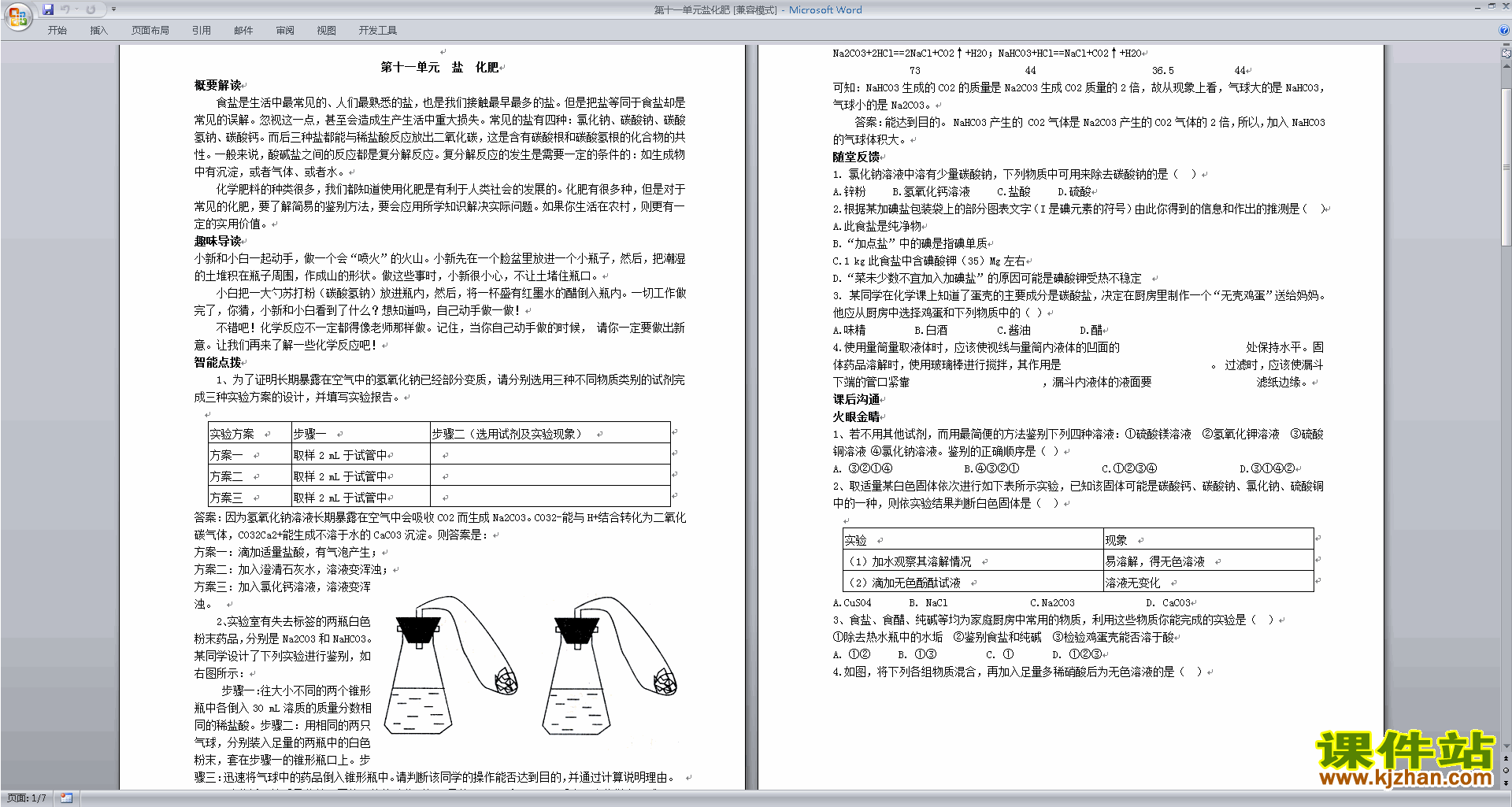 下载教学原创第十一单元:盐化肥教案教学设计