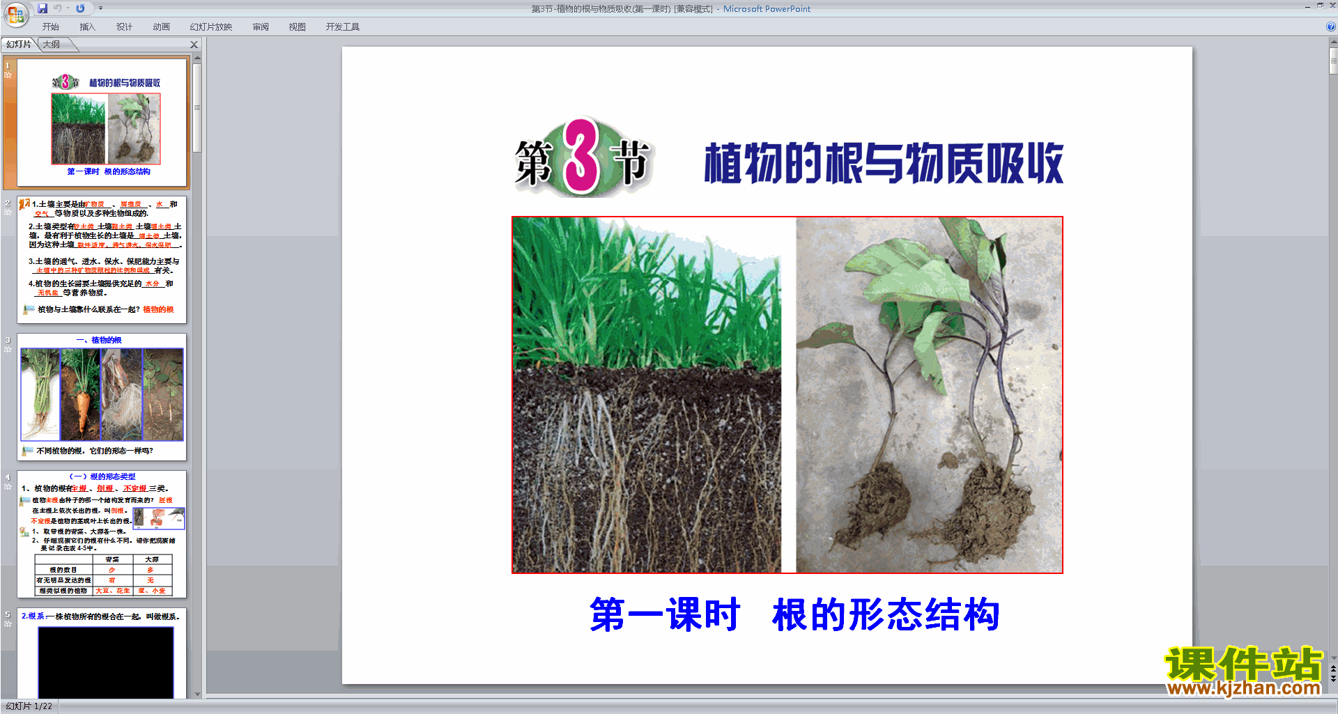 浙教版八年级下册科学公开课4.3植物的根与物质吸收ppt课件