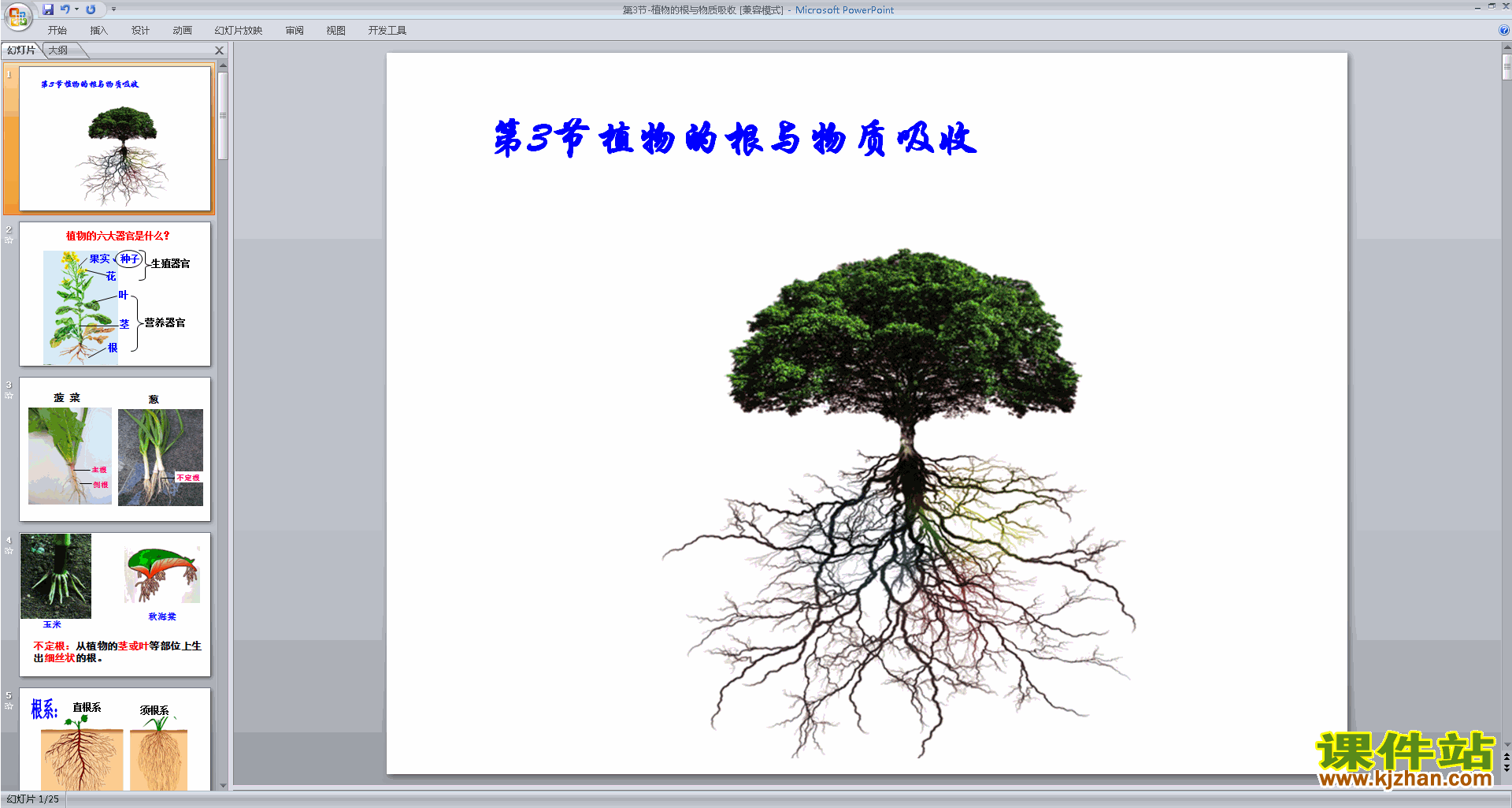 新浙教版八年级下册科学4.3植物的根与物质吸收ppt课件