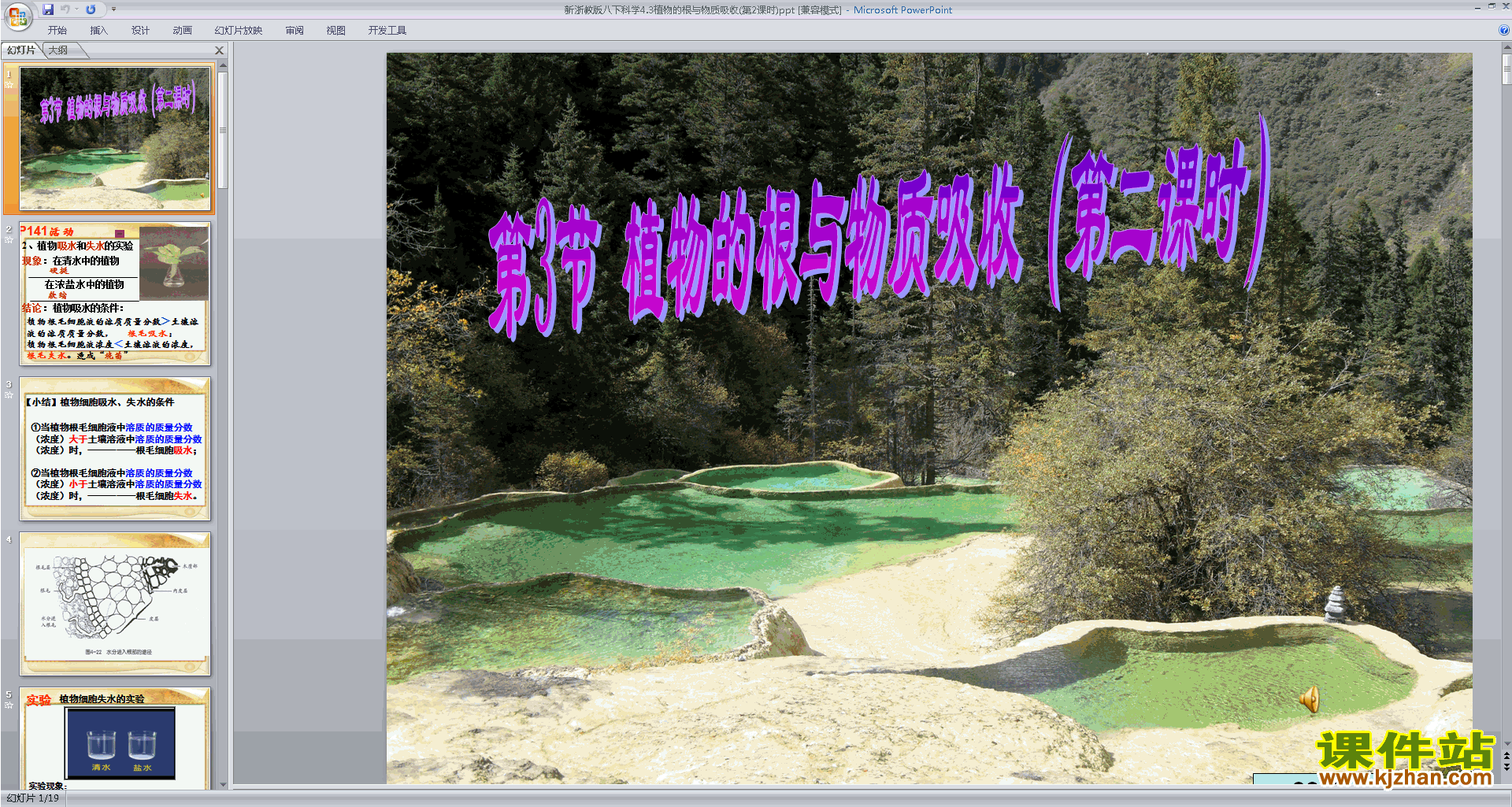 下载新浙教版八下科学4.3植物的根与物质吸收课件ppt