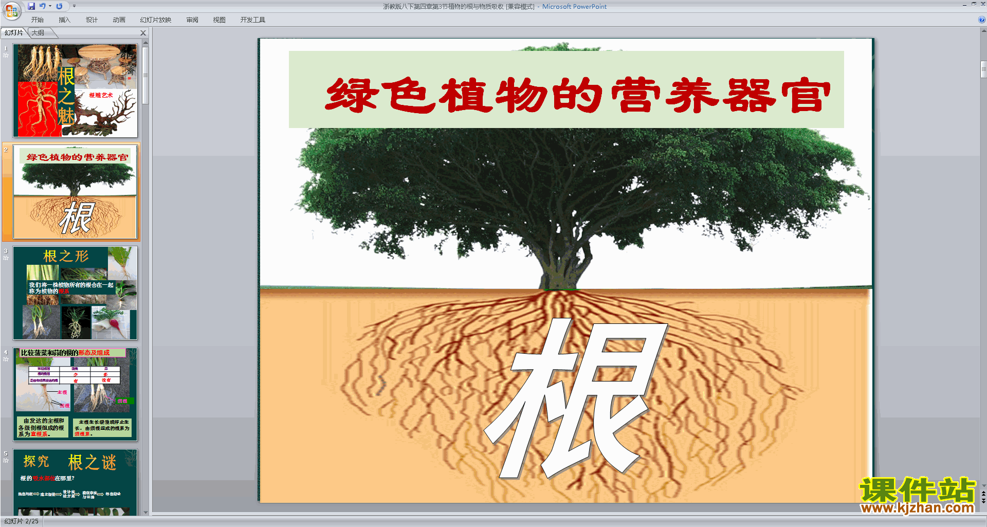 4.3植物的根与物质吸收ppt课件(新浙教版八年级下册科学)