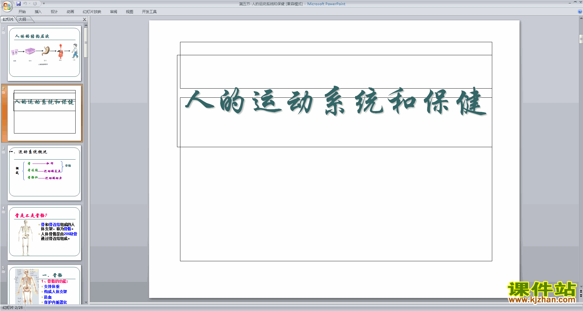 九下科学新浙教版3.5人的运动系统和保健ppt课件