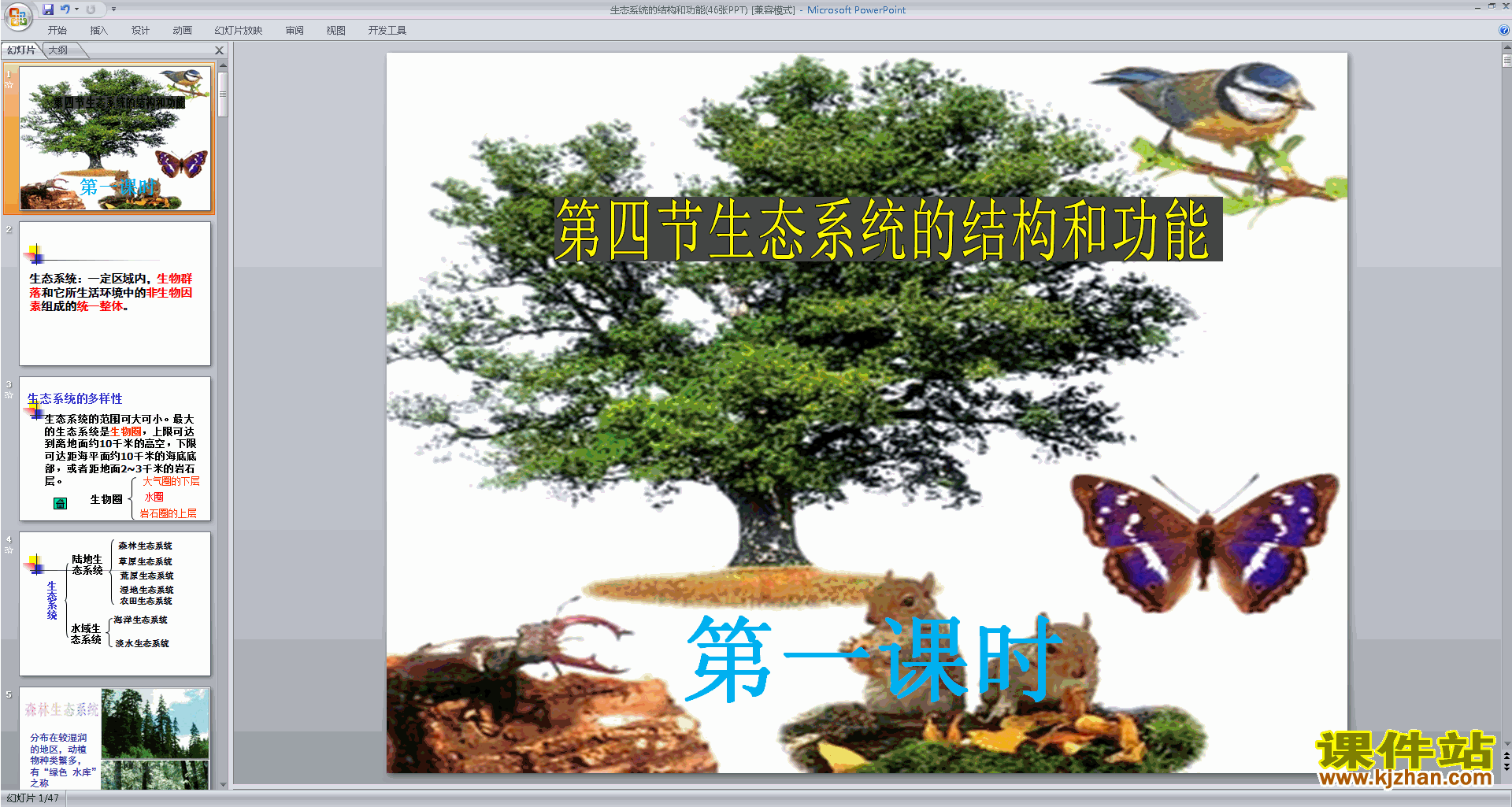 浙教版九下科学2.4生态系统的结构和功能ppt课件