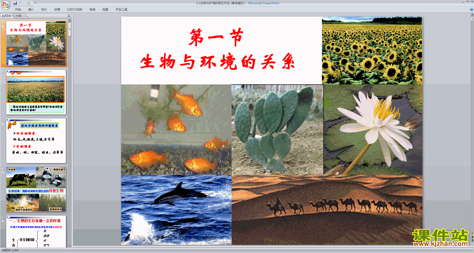 新浙教版九年级下册科学2.1生物与环境的相互关系ppt课件